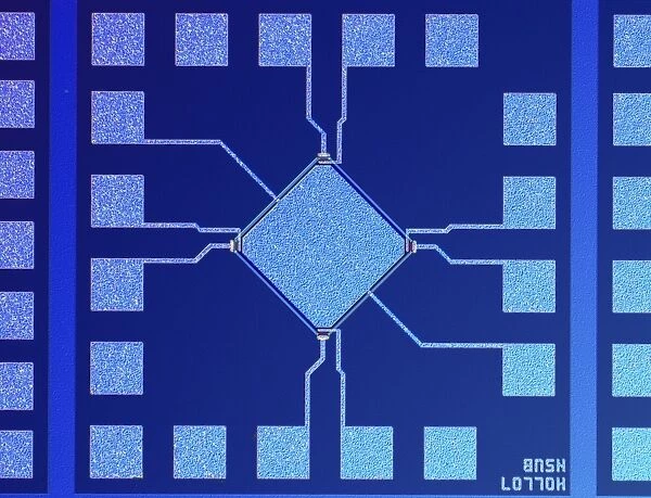 Surface of microchip, light micrograph C018  /  6398