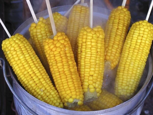 Sweetcorn cobs being cooked