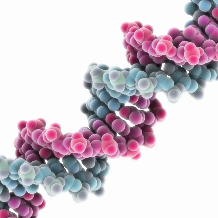Framed Print : Synthetic DNA Molecule Print Framed Print : Synthetic DNA Molecule Print
