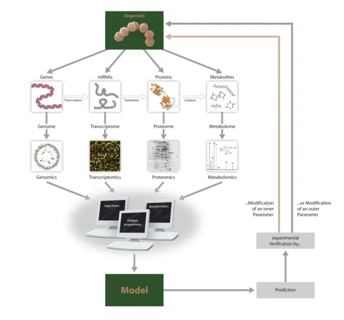 Framed Print : Systems Biology Print: A Flow Chart of Organism Study and Modelling Framed Print : Systems Biology Print: A Flow Chart of Organism Study and Modelling