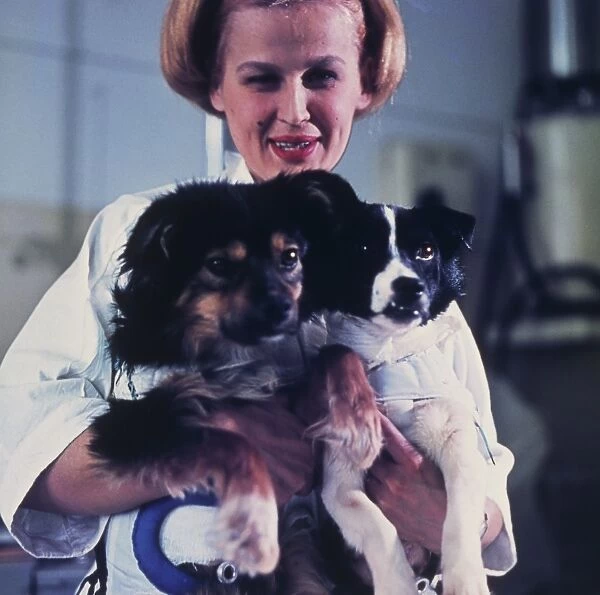 Technician holding two Soviet space dogs