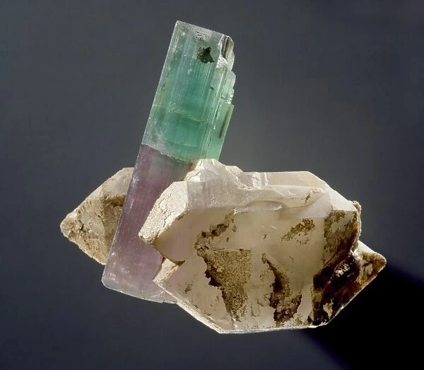 Tourmaline crystal specimen C016  /  4862