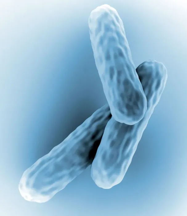 Framed Print : Mycobacterium tuberculosis Print Framed Print : Mycobacterium tuberculosis Print