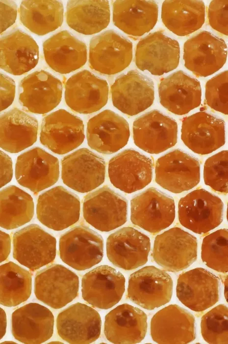 Framed Print : Uncapped Honeycomb Print Framed Print : Uncapped Honeycomb Print