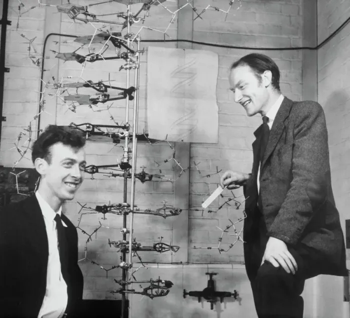 Framed Print : Print of Watson and Crick with their DNA model Framed Print : Print of Watson and Crick with their DNA model