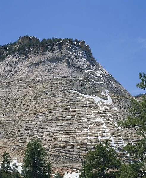485-8161. Checkerboard Mesa in the Zion National Park in Utah