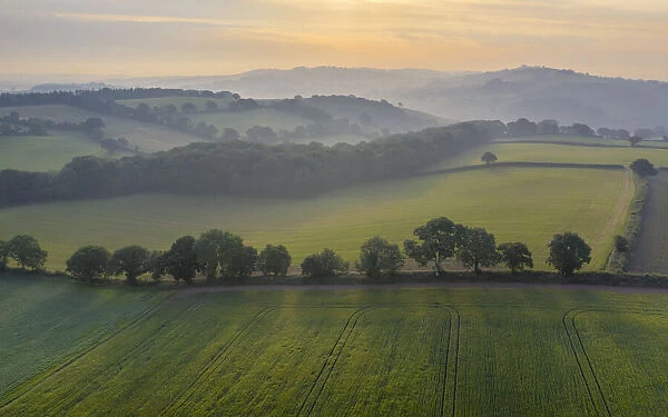Aerial vista of rolling farmland in summer time, Devon, England, United Kingdom, Europe
