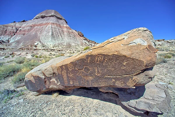 Ancient Indian petroglyphs on a boulder near Marthas Butte in Petrified Forest National Park, Arizona, United States of America, North America