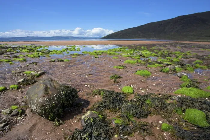 Framed Print : Applecross Beach Print Framed Print : Applecross Beach Print