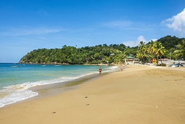 Beach of Castara, Tobago, Trinidad and Tobago, West Indies, Caribbean, Central America