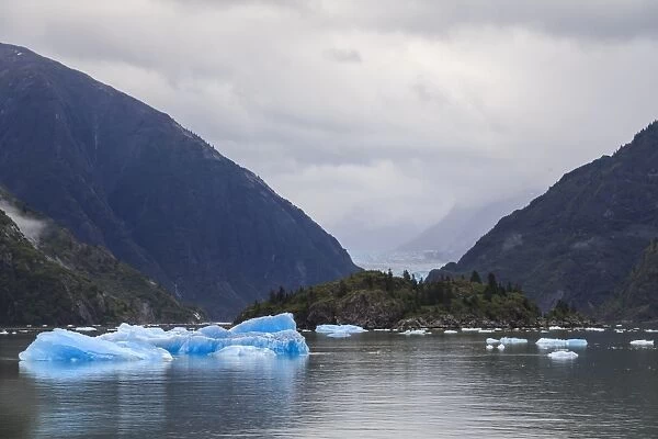 Blue icebergs and face of Sawyer Glacier, mountain backdrop, Stikine Icefield, Tracy Arm Fjord
