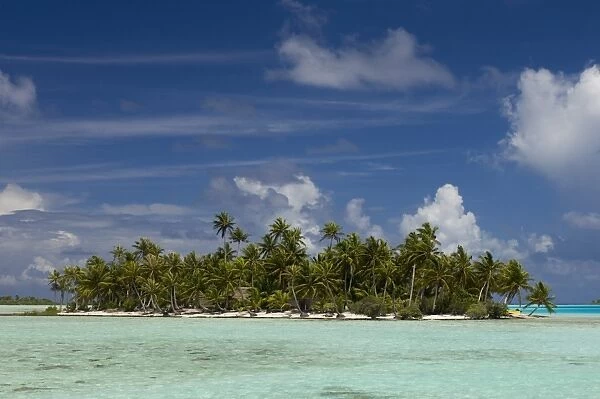 Blue Lagoon, Rangiroa, Tuamotu Archipelago, French Polynesia, Pacific Islands, Pacific