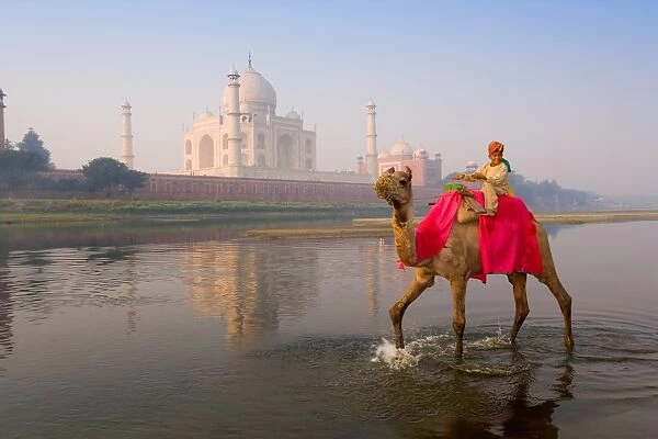 Boy riding camel in the Yamuna River in front of the Taj Mahal, UNESCO World Heritage Site, Agra, Uttar Pradesh, India, Asia
