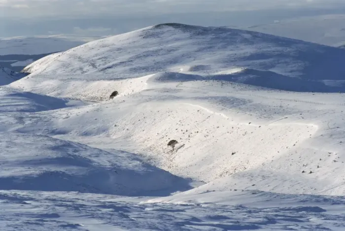Framed Print : The Cairngorms Winter Ski Print Framed Print : The Cairngorms Winter Ski Print
