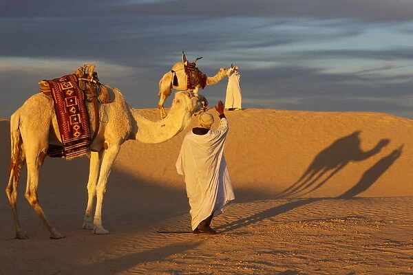 Camel drivers meeting in the Sahara, Douz, Kebili, Tunisia, North Africa, Africa
