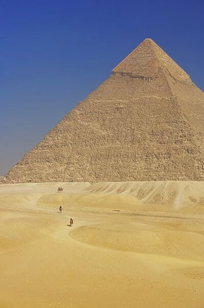Camels near Pyramid, Giza, UNESCO World Heritage Site, near Cairo, Egypt