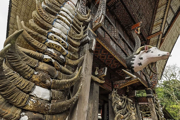 Carved head and horns of sacrificed buffalo, tongkonan traditional family house, La bo, Rantepao, Toraja, South Sulawesi, Indonesia, Southeast Asia, Asia