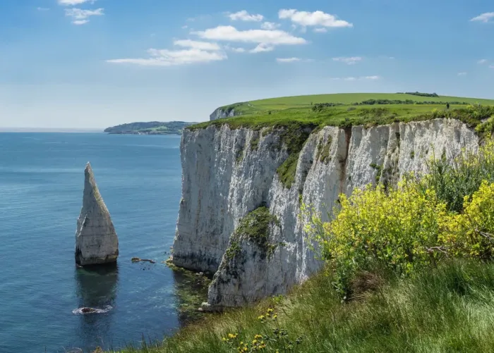 Framed Print : The Chalk Cliffs of Ballard Down Print Framed Print : The Chalk Cliffs of Ballard Down Print