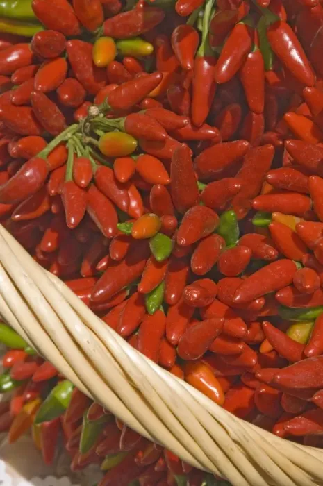 Framed Print : Chillies Print Framed Print : Chillies Print