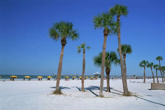 Framed Print : Clearwater Beach Print Framed Print : Clearwater Beach Print