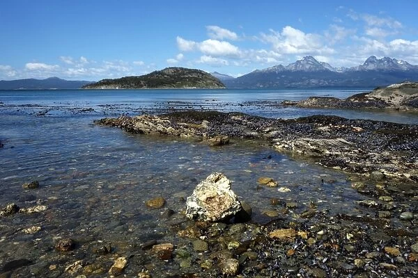 Coastal scene in the Tierra del Fuego National Park, Tierra del Fuego, Argentina
