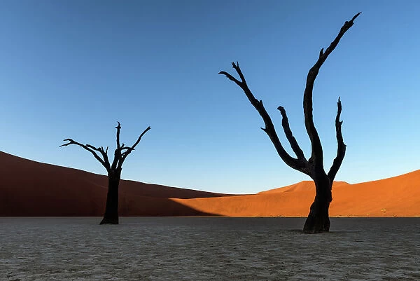 Deadvlei, Namibia, Africa