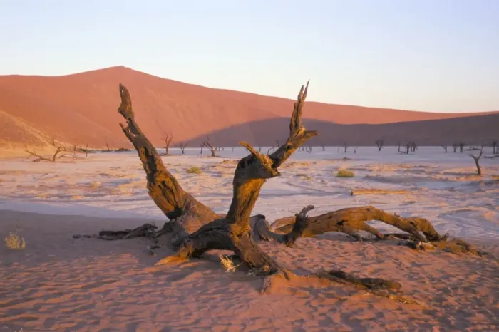 Framed Print : Death Vlei Landscape Print Framed Print : Death Vlei Landscape Print