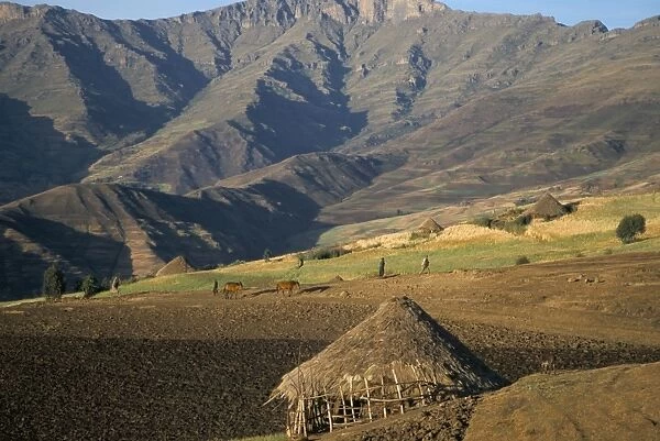 Debirichwa village in early morning, Simien Mountains National Park, UNESCO World Heritage Site