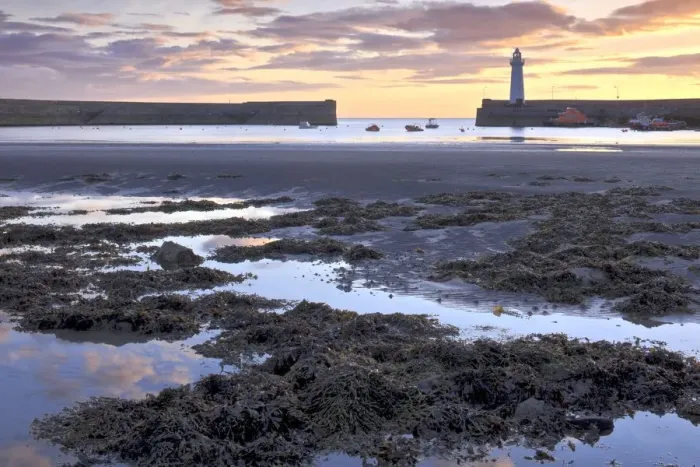 Framed Print : Donaghadee Harbour Print