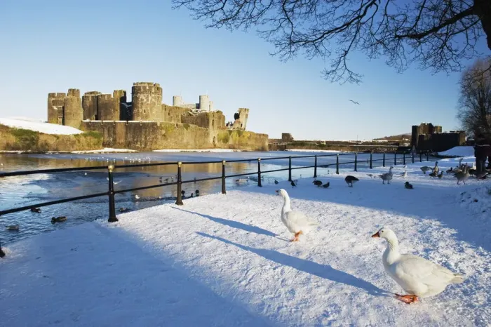 Framed Print : Ducks in Snow, Caerphilly Castle Print Framed Print : Ducks in Snow, Caerphilly Castle Print