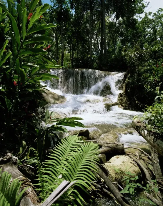 Framed Print : Dunns River Falls Print Framed Print : Dunns River Falls Print