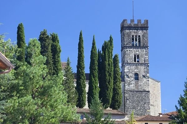 The Duomo of San Frediano, Barga, Tuscany, Italy, Europe