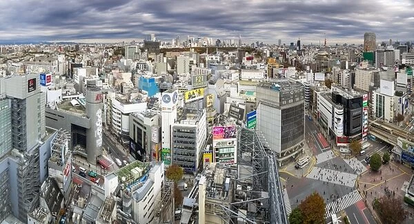 Elevated view over Shibuya Ward towards the Shinjuku skyline, Tokyo, Japan, Asia