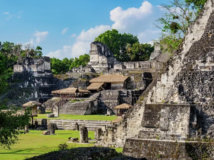 Framed Print : Tikal North Acropolis Print Framed Print : Tikal North Acropolis Print