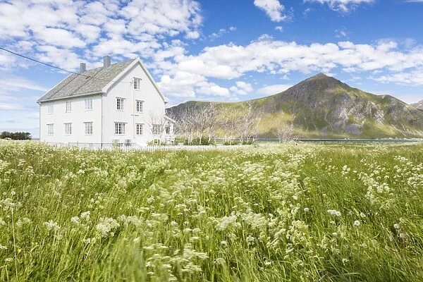 Field of blooming flowers frame the typical wooden house surrounded by peaks and blue sea