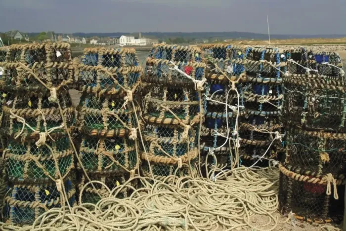Framed Print : Fish Traps Print, Cotentin Peninsula Framed Print : Fish Traps Print, Cotentin Peninsula