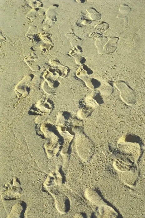 Framed Print : Beach Print: Footprints in Sand Framed Print : Beach Print: Footprints in Sand