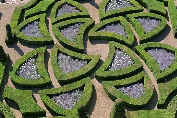 Formal gardens, Chateau of Villandry, Indre et Loire, Loire Valley, France, Europe