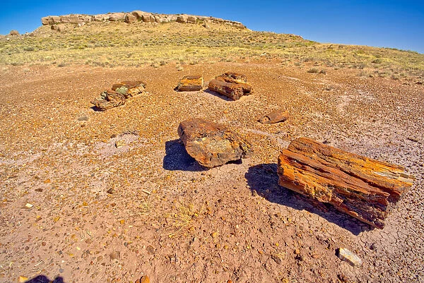 Formation called Agate Mesa, viewed from a group of petrified wood in the foreground
