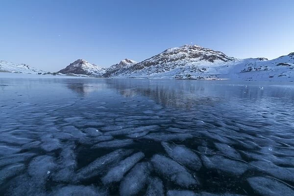 The frozen Lago Bianco framed the blue lights of dusk, Bernina Pass, canton of Graubunden