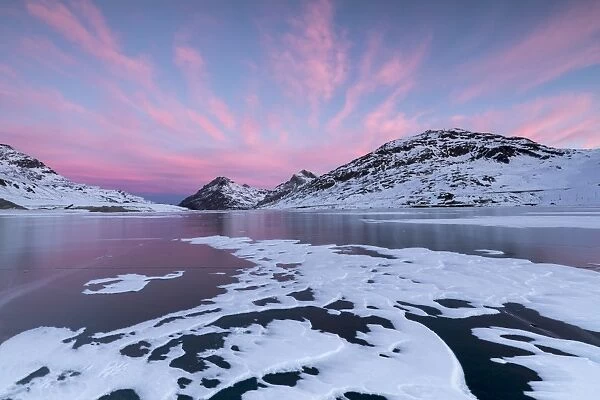 The frozen Lago Bianco framed by pink clouds at dawn, Bernina Pass, canton of Graubunden