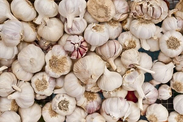 Garlic for sale at the Sunday morning market, Pollenca, Tramuntana, Mallorca, Balearic Islands, Spain, Europe