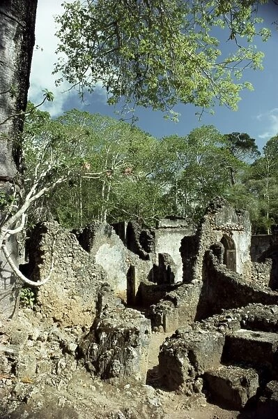 Gedi ruins