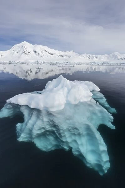 Glacial ice floating in the Neumayer Channel near Wiencke Island, Antarctica, Polar Regions