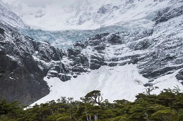 Glaciar Frances, French Valley (Valle Frances), Torres del Paine National Park, Patagonia