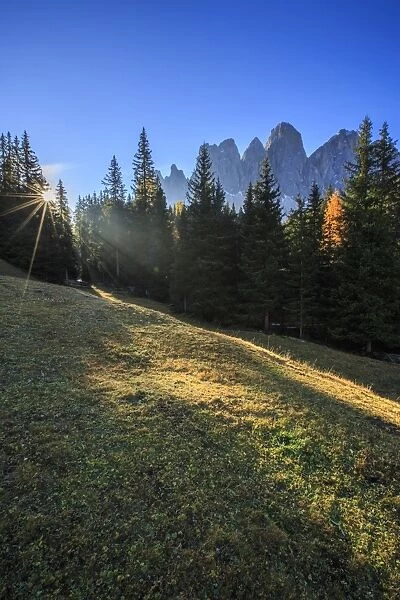 Green meadows and colorful woods in autumn frame the Odle, Malga Zannes, Funes Valley
