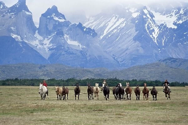 A group of gauchos riding horses, with the Cuernos del Paine (Horns of Paine) mountains behind
