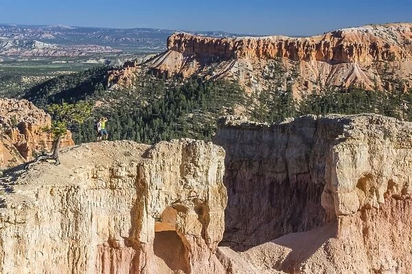 Hikers on arch rock formation in Bryce Canyon Amphitheater, Bryce Canyon National Park, Utah, United States of America, North America