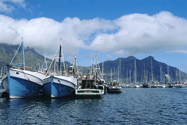 Hout Bay, fishing harbour