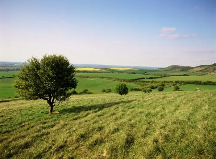 Framed Print : Ivinghoe Beacon Print from the Ridgeway Path, Buckinghamshire